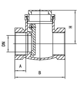 Brass Swing Check Valve