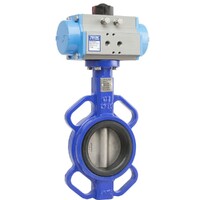 Ductile Iron Spring Return Butterfly Valve with 316 Stainless Steel Disc