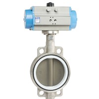 Stainless Steel Double Acting Butterfly Valve