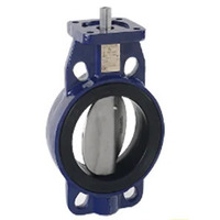 High Pressure Wafer Ductile Iron Butterfly Valve