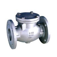 Flanged Stainless Steel Swing Check Valve